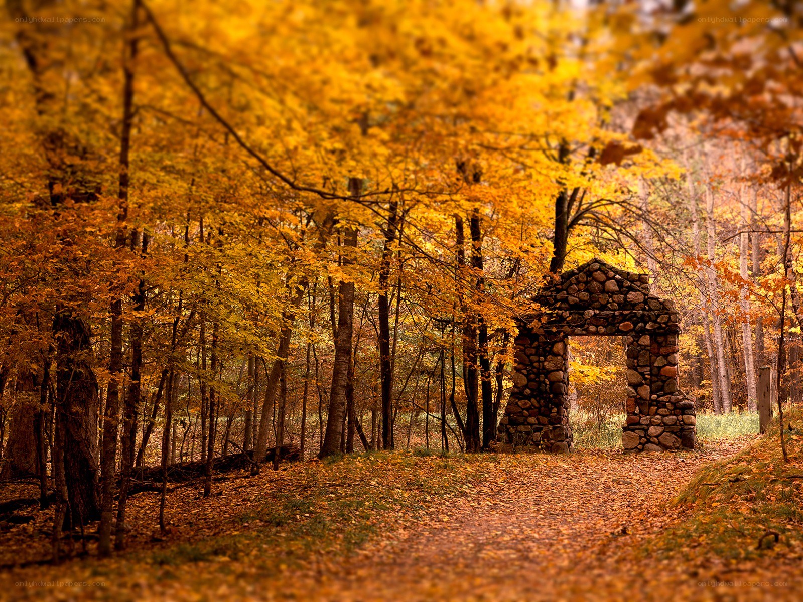 Autumn forest with stone arch
