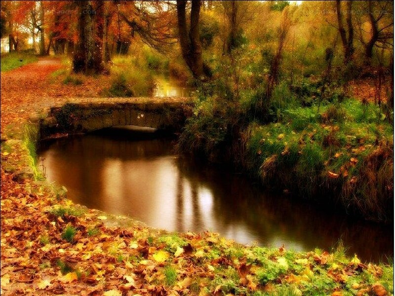 Autumn forest with stone bridge