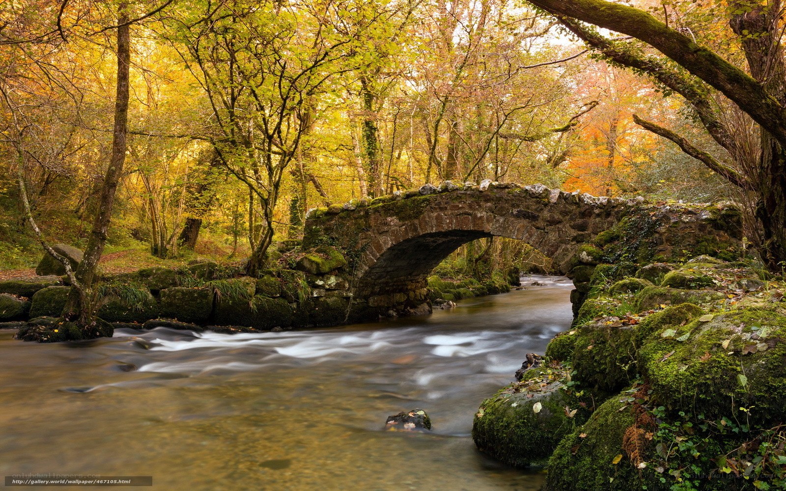 Autumn forest with stone bridge