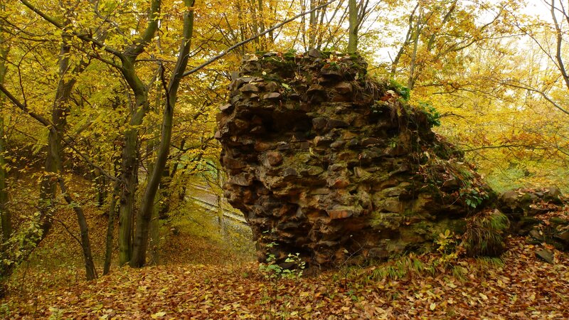 Autumn forest with stone ruin