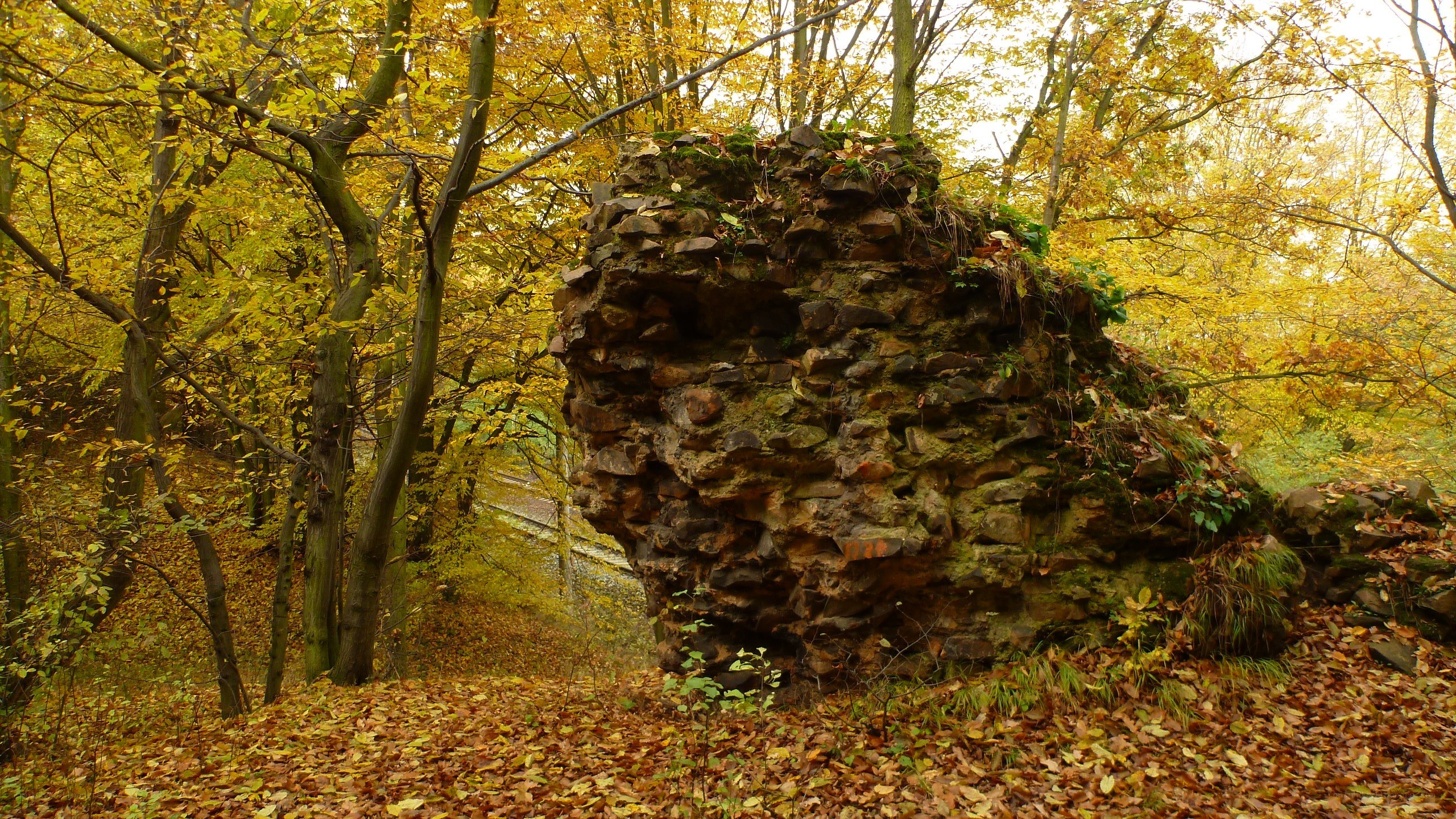 Autumn forest with stone ruin