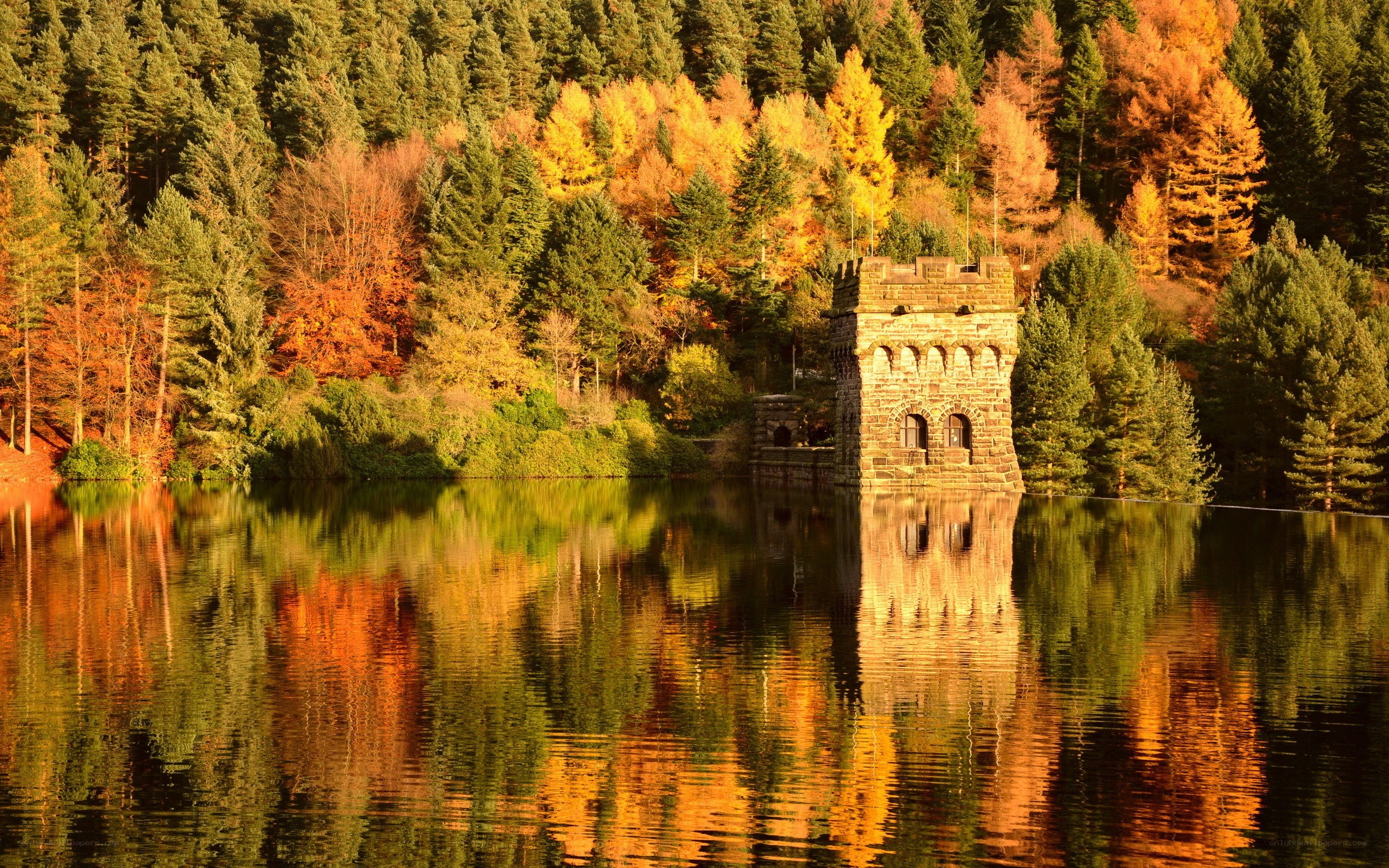 Autumn forest with stone tower