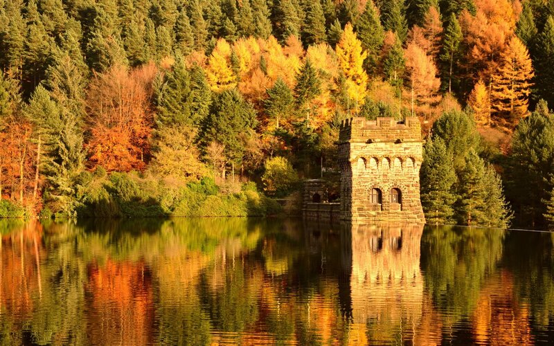 Autumn forest with stone tower