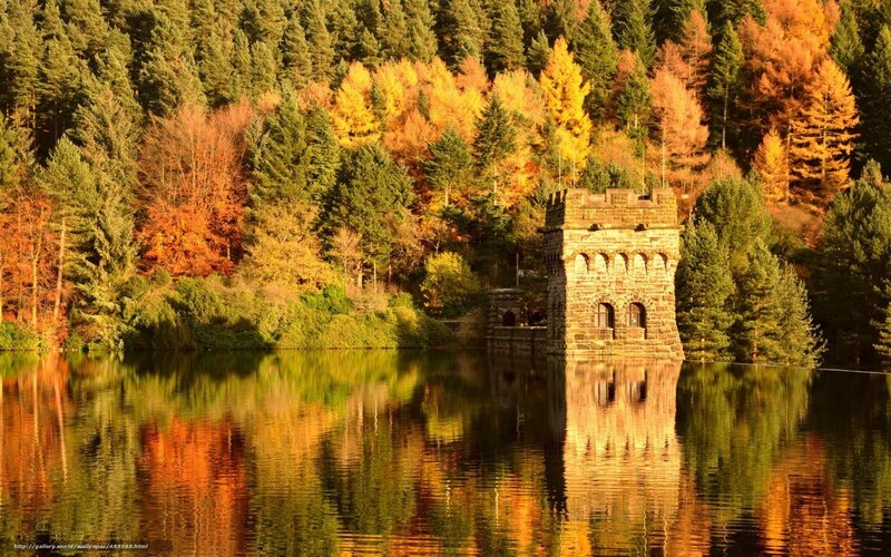 Autumn forest with stone tower