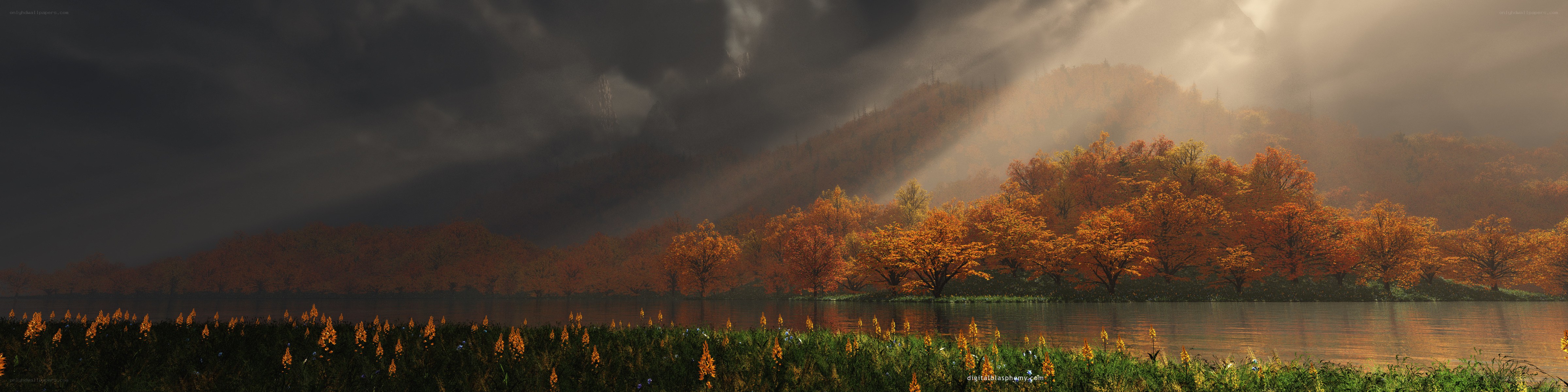 Autumn forest with sunbeams