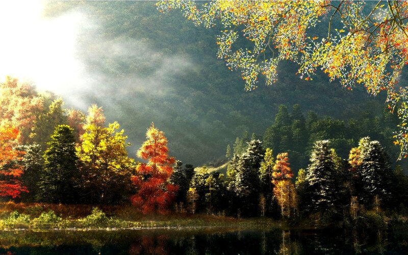 Autumn forest with sunbeams