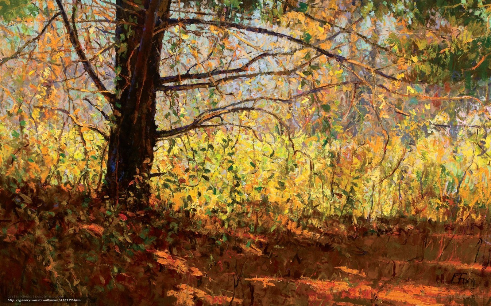 Autumn forest with sunlight