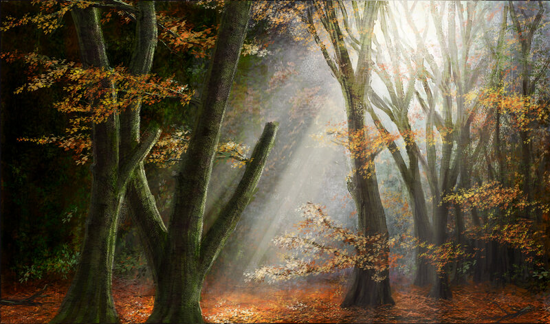 Autumn Forest with Sunlight — Orange, Serene, Digital Art