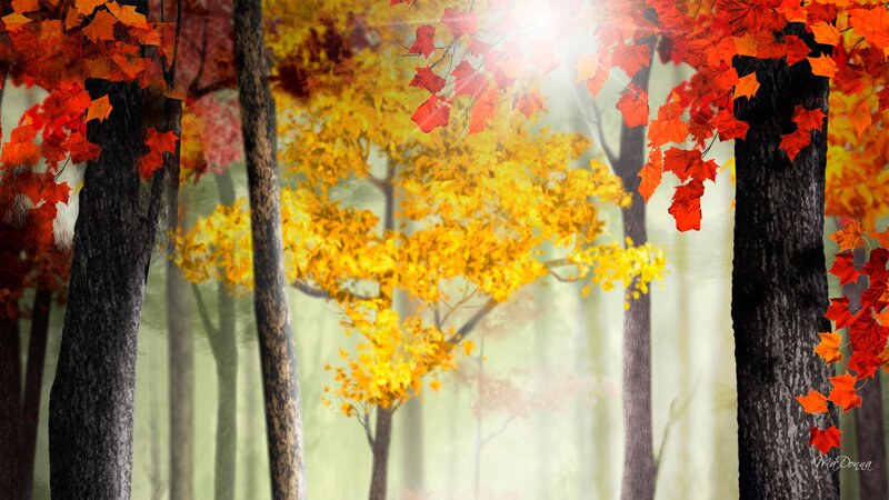 Autumn Forest with Sunlight — Yellow, Serene, Digital Art