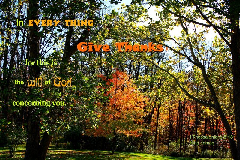 Autumn Forest with Text