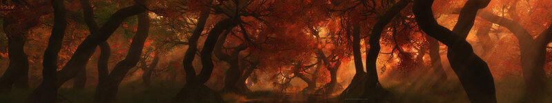 Autumn Forest with Trees — Orange, Dramatic