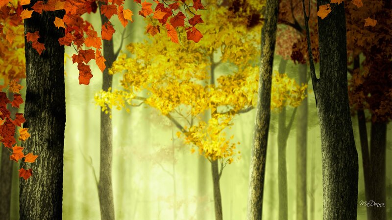 Autumn Forest with Trees — Yellow, Serene, Digital Art