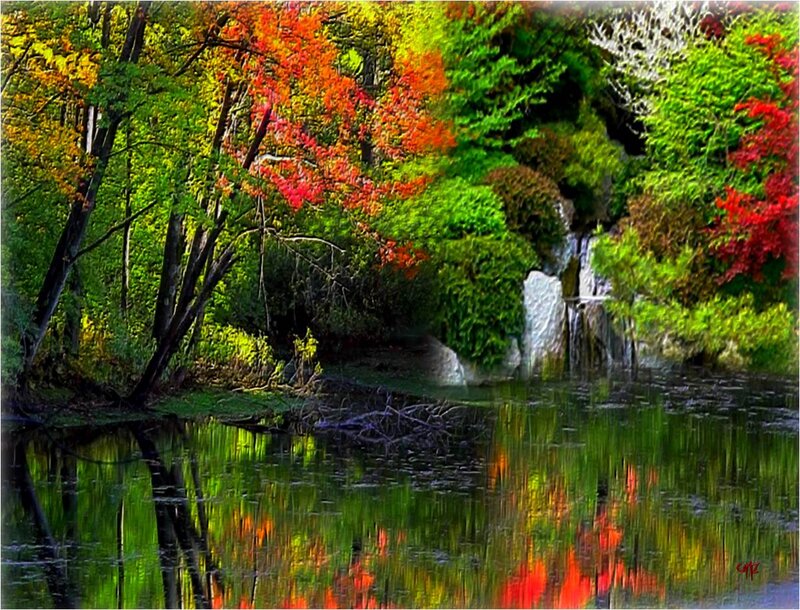 Autumn Forest with Waterfall — Green