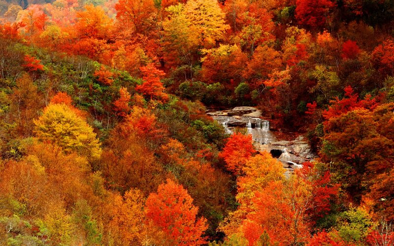 Autumn Forest with Waterfall — Red