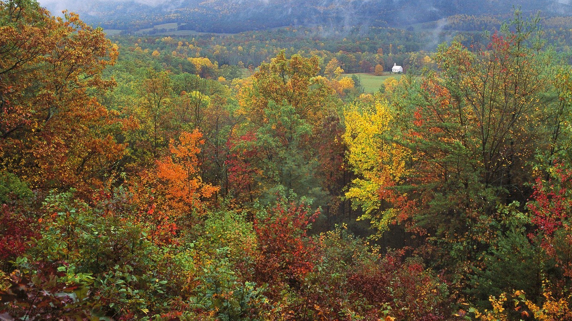 Autumn forest with white house