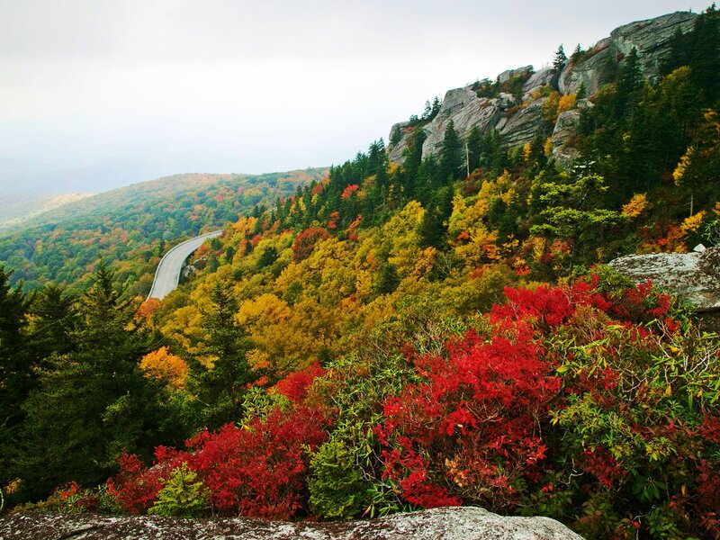 Autumn Forest with Winding Road — Red