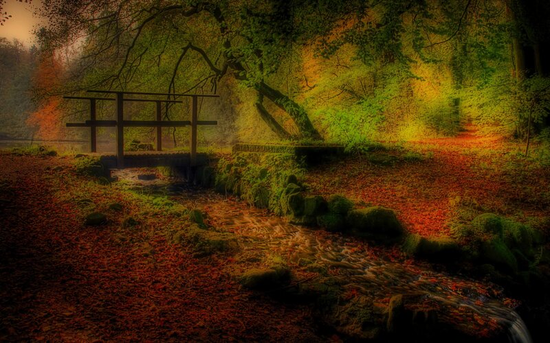 Autumn forest with wooden bridge