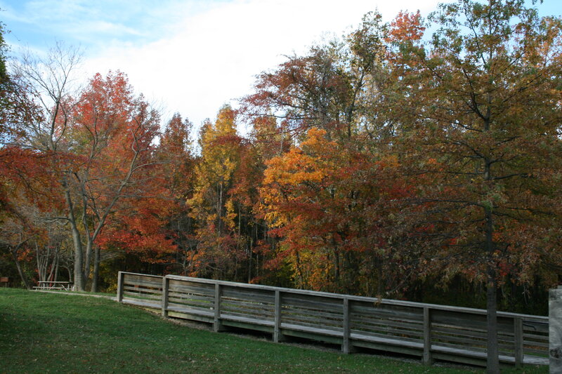 Autumn forest with wooden bridge