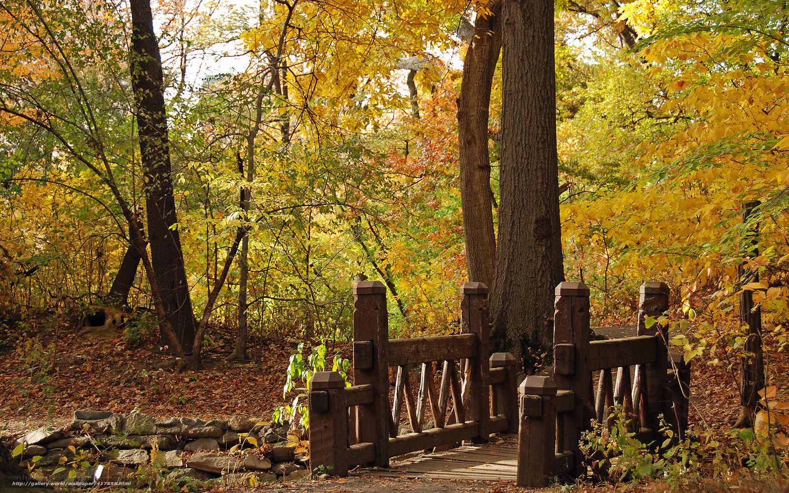 Autumn forest with wooden bridge