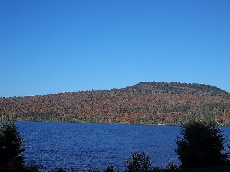 Autumn Forested Hill — Blue