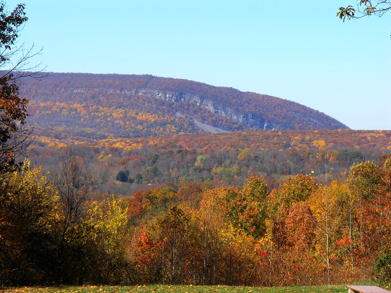 Autumn Forested Hill