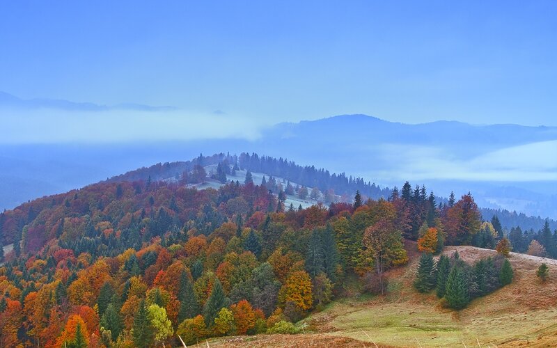 Autumn Forested Hills — Blue, Serene, Photograph