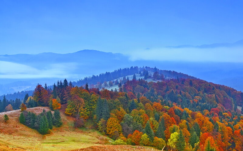 Autumn Forested Hills — Blue, Serene