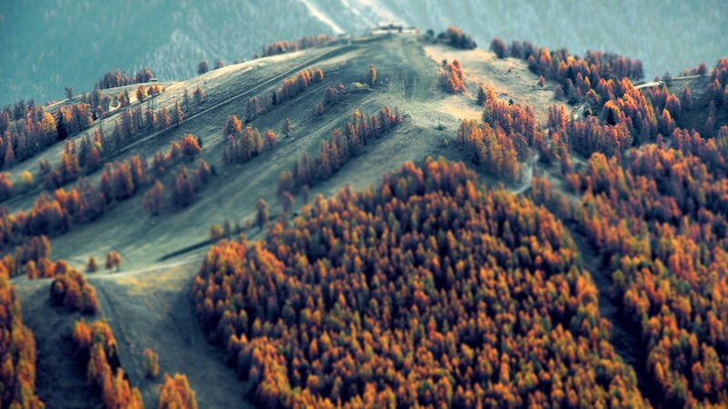 Autumn Forested Hills — Orange
