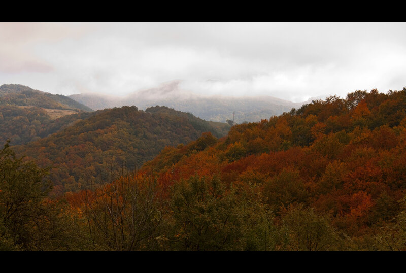 Autumn Forested Hills