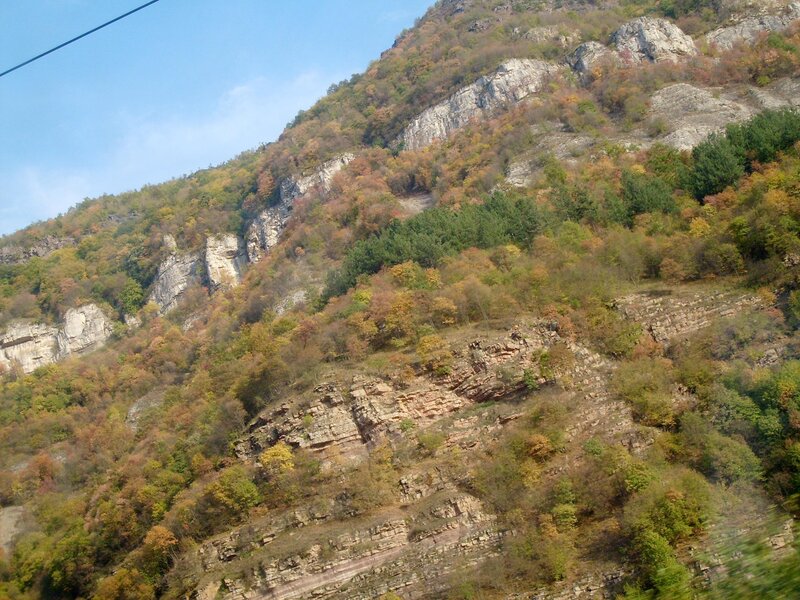 Autumn Forested Mountain — Green, Serene