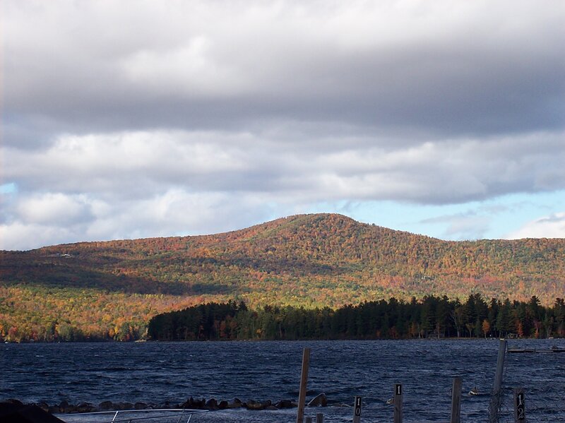Autumn Forested Mountain — Green