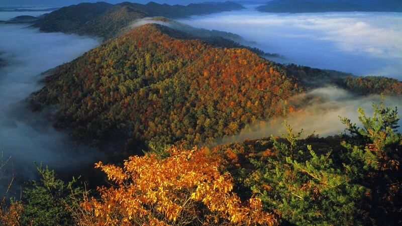 Autumn Forested Mountain — Orange