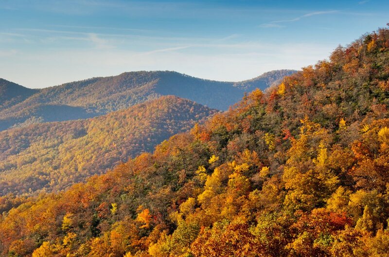 Autumn Forested Mountains — Orange, Serene, Photograph