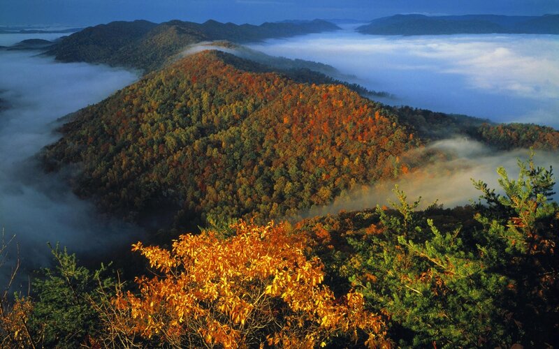 Autumn Forested Mountains — Orange, Serene
