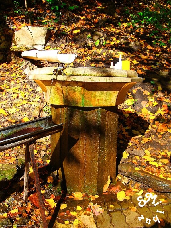 Autumn fountain in forest