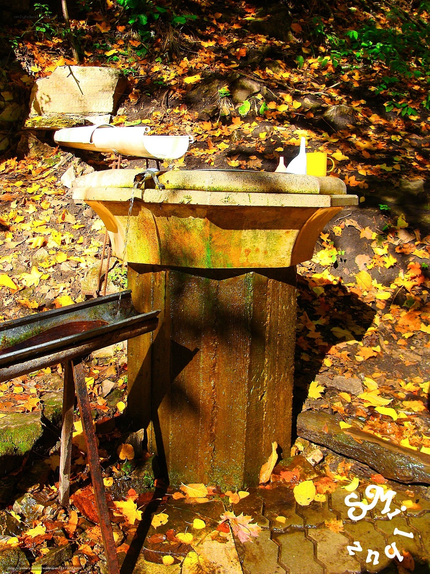 Autumn fountain in forest