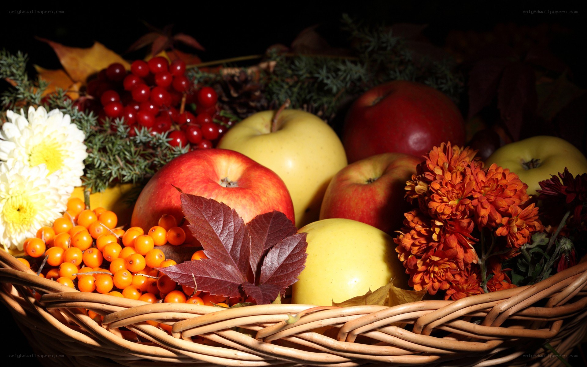 Autumn fruit and flower arrangement