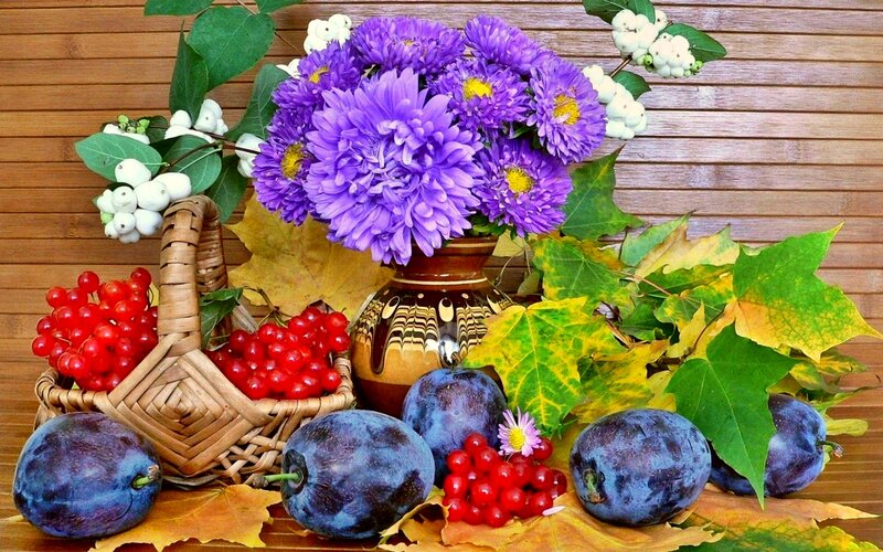 Autumn Fruit and Flowers — Purple, Calm, Photograph, Berries