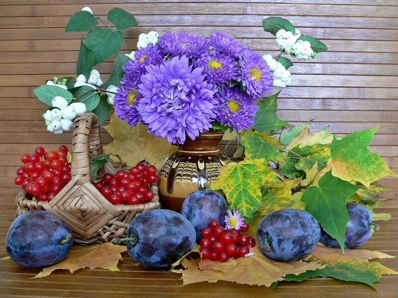 Autumn Fruit and Flowers — Purple, Calm, Photograph, Plums