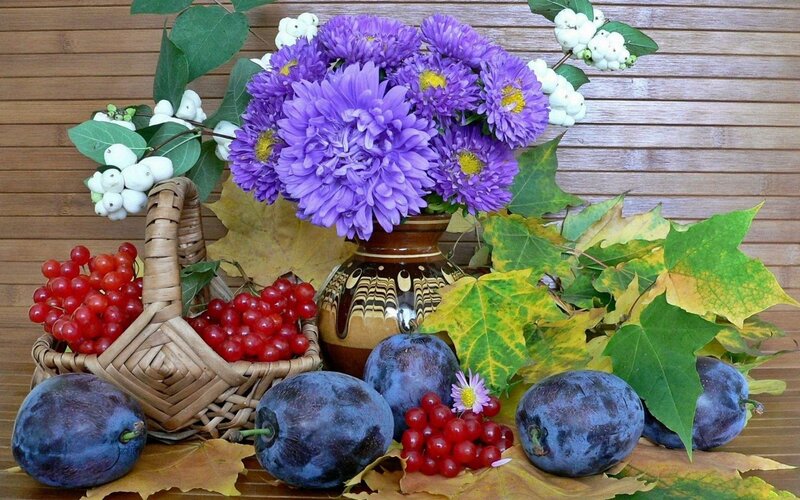 Autumn Fruit and Flowers — Purple, Calm