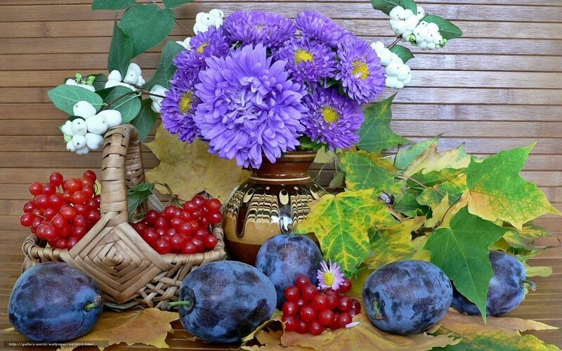 Autumn fruit and flowers still life