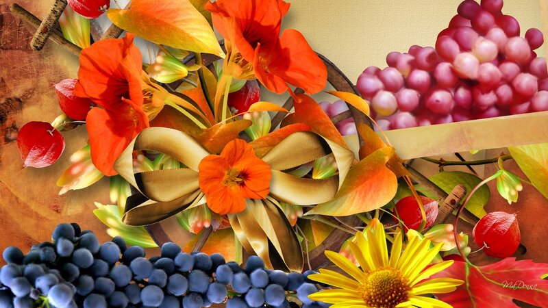 Autumn Fruit and Flowers