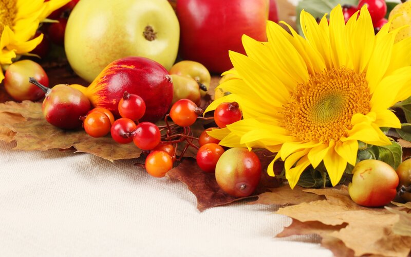 Autumn Fruit and Sunflower