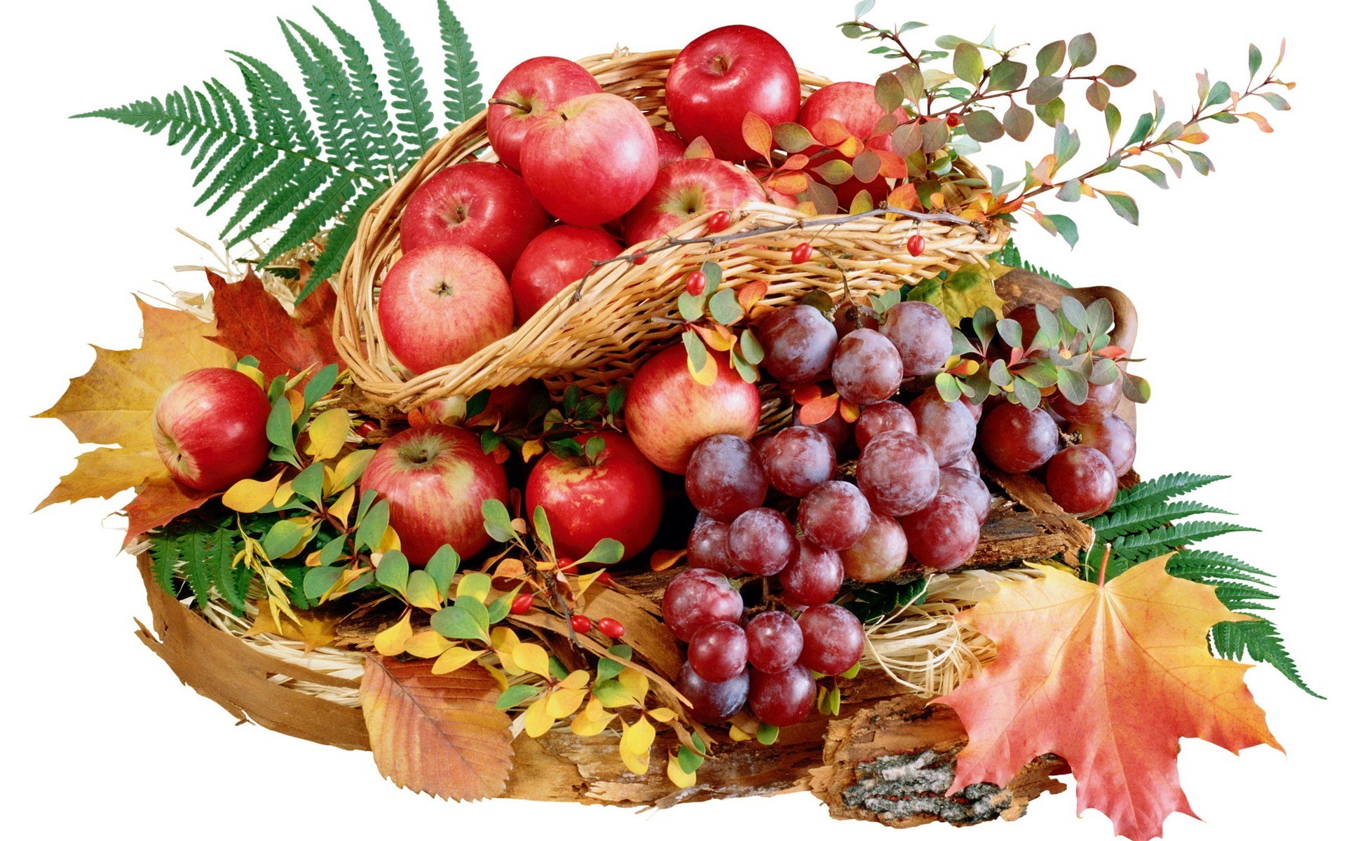 Autumn fruit basket arrangement
