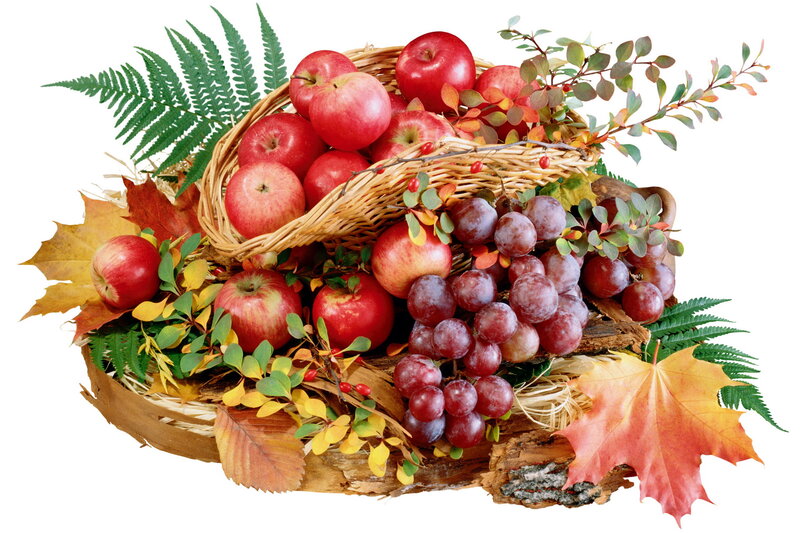 Autumn Fruit Basket — Red, Harvest