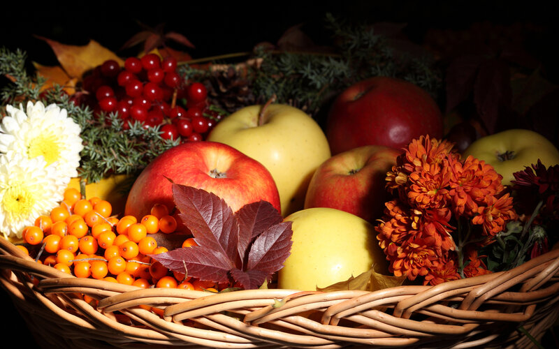 Autumn Fruit Basket — Red