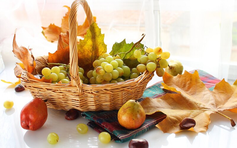 Autumn Fruit Basket — Yellow, Serene, Photograph