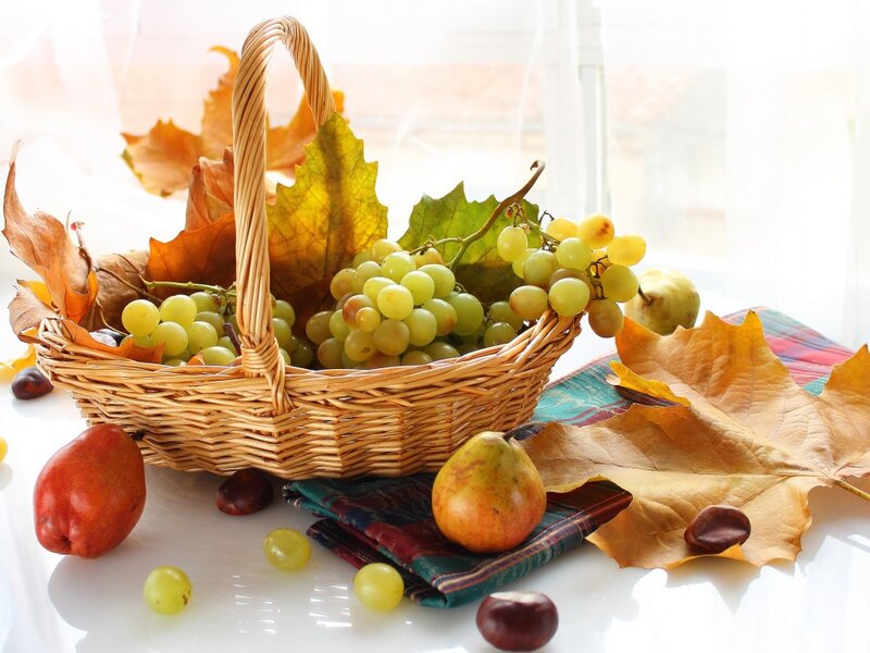Autumn Fruit Basket — Yellow, Serene