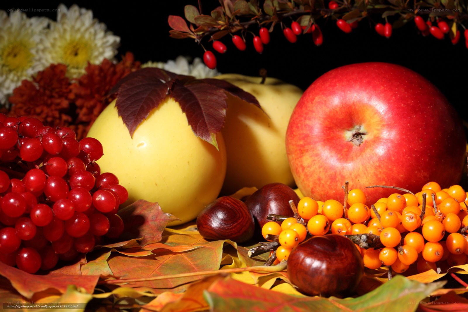 Autumn fruits and flowers
