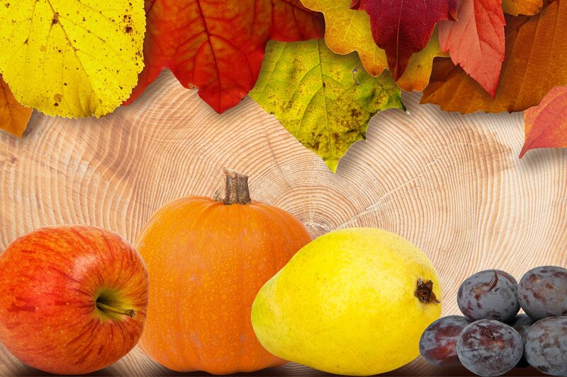 Autumn Fruits and Leaves — Orange